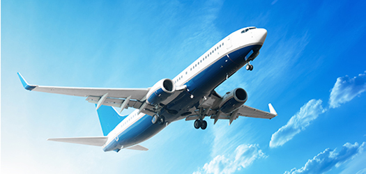 Travel/Study Abroad